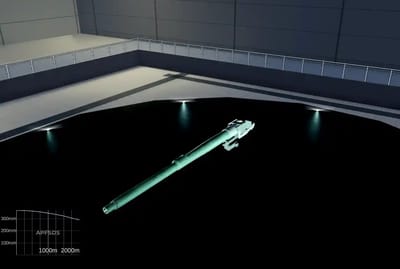 gun