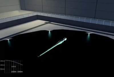 gun