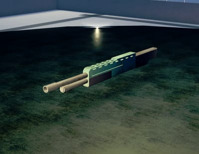 gun